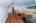 Blurred preview of media: IMG_1814