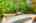 Blurred preview of media: 64 Ravina Cres, Ancaster _ Nathan Ferro140