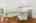 Blurred preview of media: Nerine_058
