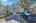 Blurred preview of media: 45314 Ingleham Circle-16