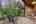 Blurred preview of media: 229 Highlands Drive , Breckenridge, Colorado, 80424 - Web-55