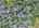 Blurred preview of media: DJI_20260923120738_0794_D_5_D_6_D_easyHDR