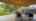 Blurred preview of media: IMG_3932