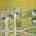 Blurred preview of media: 2-926-0599