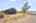 Blurred preview of media: 201 Quail Fritch-39