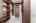 Blurred preview of media: Nerine_083