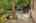 Blurred preview of media: 44