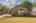 Blurred preview of media: 129MorrisSt-1