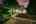 Blurred preview of media: 4Sept0004