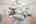 Blurred preview of media: DSC_9007