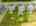 Blurred preview of media: DJI_20250807150758_0797_D