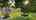 Blurred preview of media: Unknown media