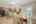 Blurred preview of media: DSC02416