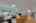 Blurred preview of media: 250242-8
