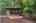 Blurred preview of media: Nerine_008