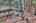 Blurred preview of media: IMG_9772_3_4_easyHDR