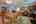 Blurred preview of media: IMG_1957_8_9