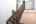 Blurred preview of media: 834A0876