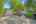 Blurred preview of media: DSC09422