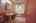 Blurred preview of media: IMG_0460_1_2