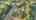Blurred preview of media: DJI_20250910073137_0215_D