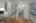 Blurred preview of media: 27