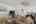 Blurred preview of media: 1472 Dunns Lake Dr-22