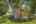 Blurred preview of media: 19