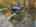 Blurred preview of media: 092