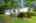 Blurred preview of media: 008_DSC02704