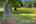 Blurred preview of media: Kenton Park 14