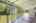 Blurred preview of media: IMG_9686