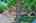 Blurred preview of media: IMG_0841_2_3_easyHDR