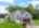 Blurred preview of media: 37 Dogwood Road Littleton Massachusetts Job 39694 0028