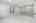 Blurred preview of media: Nerine_098