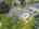 Blurred preview of media: DJI_0010