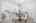Blurred preview of media: bar_harbor_019