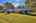 Blurred preview of media: IMG_2620_1_2_easyHDR