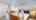 Blurred preview of media: 4201-SE-McClelland-St-06162026_182857