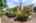 Blurred preview of media: 1-44