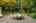 Blurred preview of media: 1-51