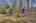 Blurred preview of media: IMG_9676_7_8_easyHDR