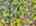 Blurred preview of media: DJI_20260505134412_0847_D_8_D_9_D_easyHDR
