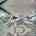 Blurred preview of media: Dorie Lu-30