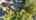 Blurred preview of media: 48