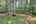 Blurred preview of media: IMG_3339_40_41_easyHDR
