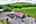Blurred preview of media: Unknown media