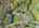 Blurred preview of media: Sky Tour-26