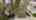 Blurred preview of media: DJI_20260505095943_0006_D
