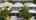 Blurred preview of media: Unknown media